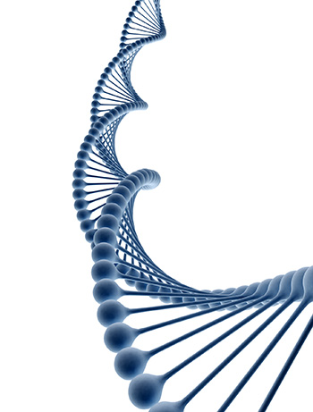 Digital illustration of a dna Digital illustration of a dna isolated on white background